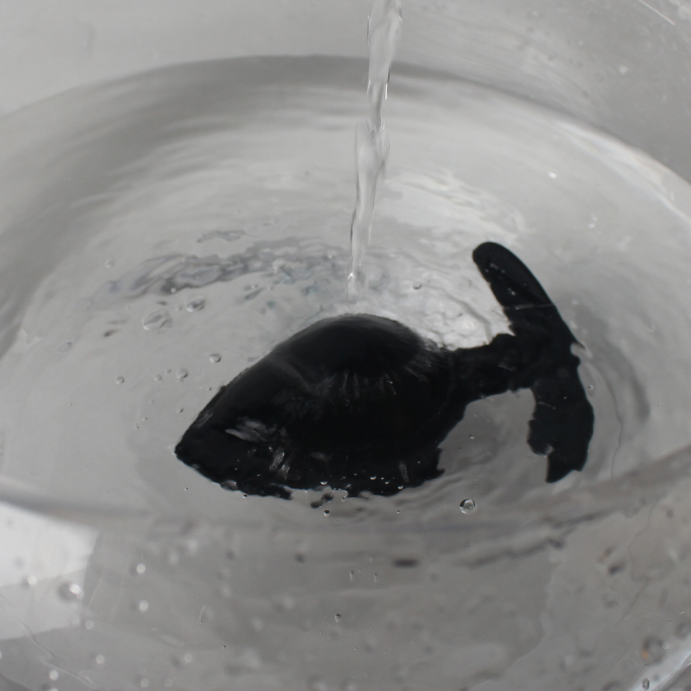 Ensemble de plugs anaux en silicone